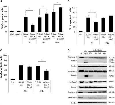 Lowering Etoposide Doses Shifts Cell Demise From Caspase-Dependent to Differentiation and Caspase-3-Independent Apoptosis via DNA Damage Response, Inducing AML Culture Extinction